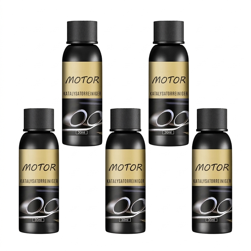 Katalysator & Brandstofsysteem Reinem