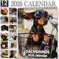 2026 Schattige Teckel Wandkalender
