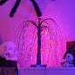 Halloween boomverlichting