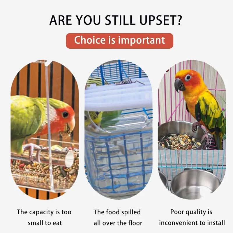 🐦Automatisch No-Spill Transparant Vogelvoederhuisje – Zie Vogels van Dichtbij | Zonder Morsen 🌿✨