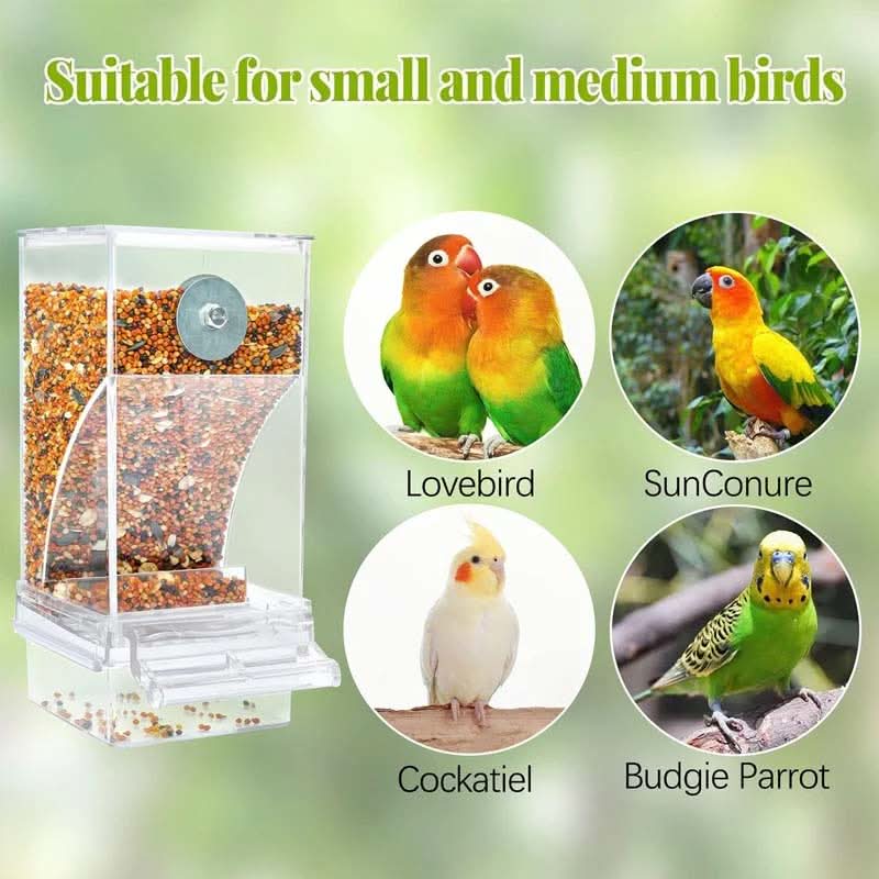🐦Automatisch No-Spill Transparant Vogelvoederhuisje – Zie Vogels van Dichtbij | Zonder Morsen 🌿✨