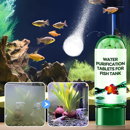 💥KOOP 2, KRIJG 1 GRATIS♻️💧Krachtige tabletten voor waterzuivering in aquariums – Helder, gezond water in enkele minuten