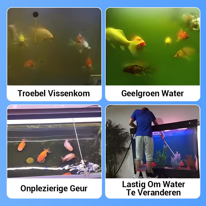 💥KOOP 2, KRIJG 1 GRATIS♻️💧Krachtige tabletten voor waterzuivering in aquariums – Helder, gezond water in enkele minuten