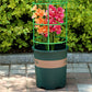 Afneembare Plant Frame Steunen voor Bloemen en Fruit