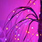 Halloween boomverlichting