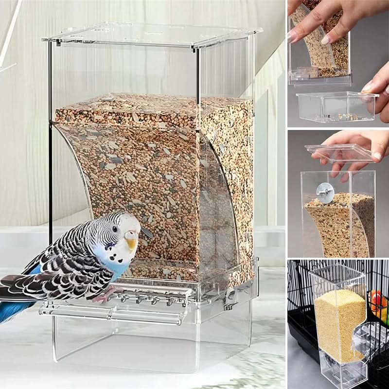 🐦Automatisch No-Spill Transparant Vogelvoederhuisje – Zie Vogels van Dichtbij | Zonder Morsen 🌿✨