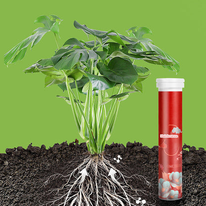 🔥50% KORTING✨Langwerkende Meststoftabletten🌱Gebalanceerde NPK Samenstelling, Voor Alle Binnen- en Buitenplanten🌿