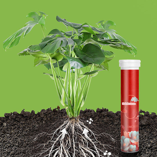 🔥50% KORTING✨Langwerkende Meststoftabletten🌱Gebalanceerde NPK Samenstelling, Voor Alle Binnen- en Buitenplanten🌿