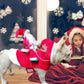 🐕Kerstkostuum voor honden met rijdende Kerstman en rendier🎄