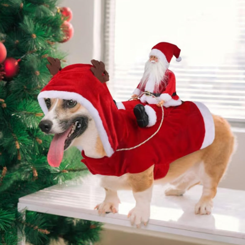 🐕Kerstkostuum voor honden met rijdende Kerstman en rendier🎄