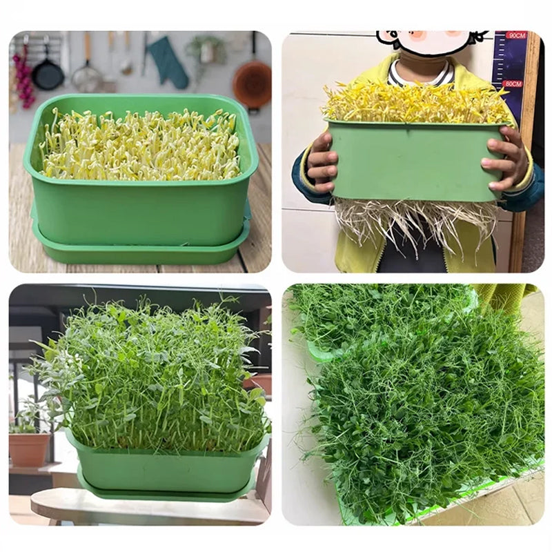 🔥Stapelbare taugé kweekbak – Meerlaags ontwerp, perfect voor thuisgebruik, gezond en groen leven!