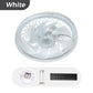 🌞50% korting💡2-in-1 dimbare plafondventilatorlamp met afstandsbediening – stil, verstelbaar en ruimtebesparend