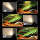🔥Zoombare Fish Tank LED Spotlight