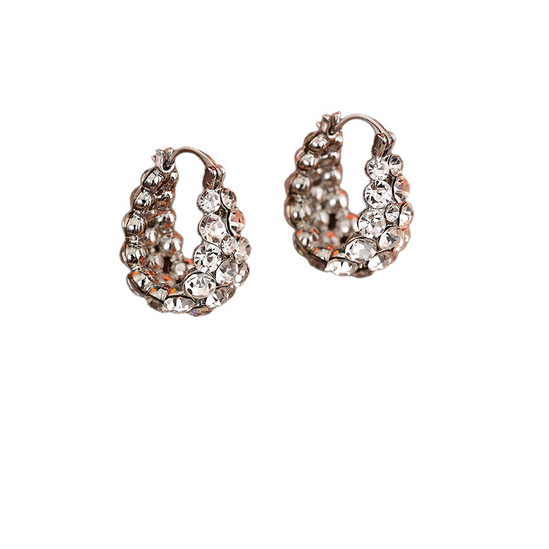 ✨Stijlvolle strass oorbellen