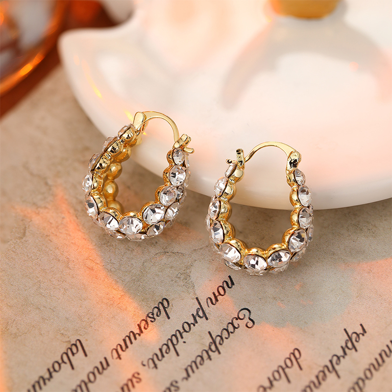 ✨Stijlvolle strass oorbellen
