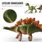🎁2026 Nieuw binnen 50% KORTING💥Leuk en leerzaam dinosaurus speelgoedpakket voor kinderen
