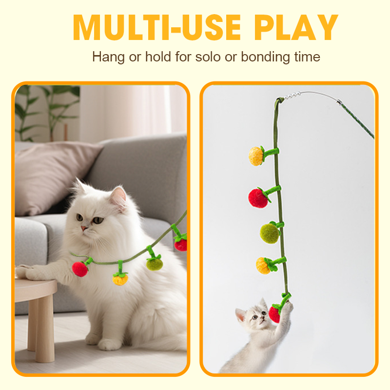 😻Interactief fruitvormig kattenkruid speeltje met touwtje