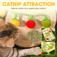 😻Interactief fruitvormig kattenkruid speeltje met touwtje