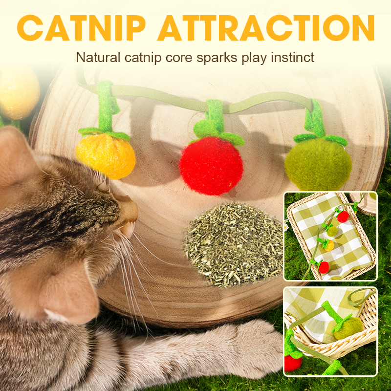 😻Interactief fruitvormig kattenkruid speeltje met touwtje
