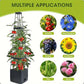 🪴NU 50% KORTING☀️Verhoogde plantenbakken met klimrek voor in de tuin💧