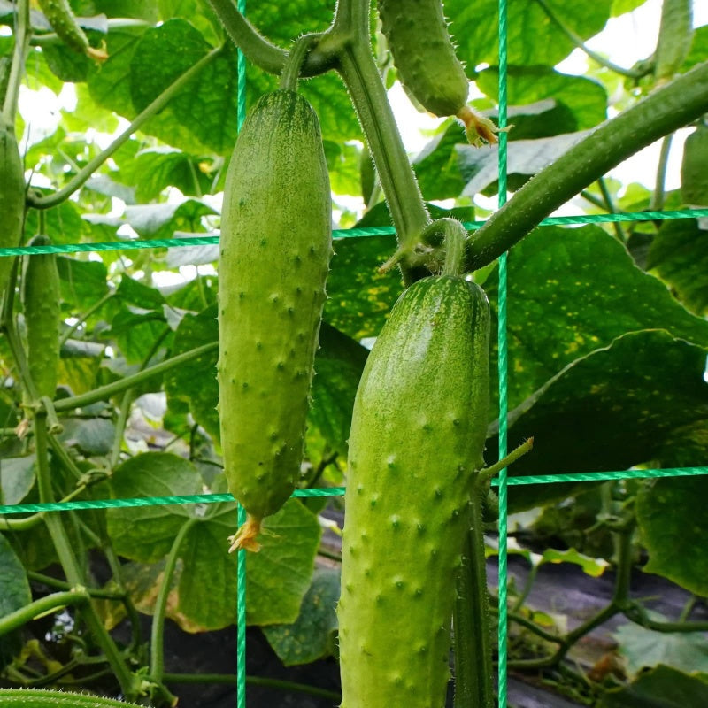 🔥Uitverkoop 50% Korting🏠A-frame tuinrek voor klimplanten