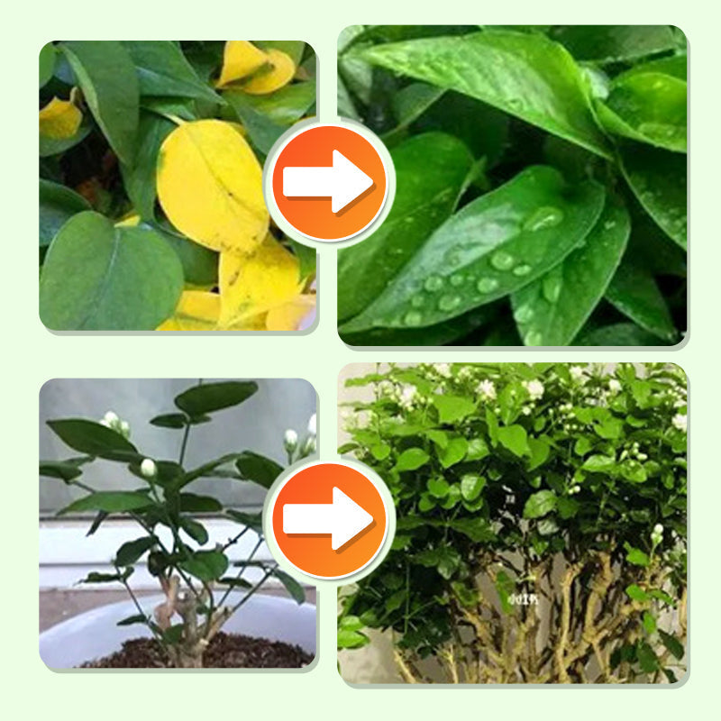 Langzame release planten mest sticks