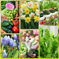 Langzame release planten mest sticks