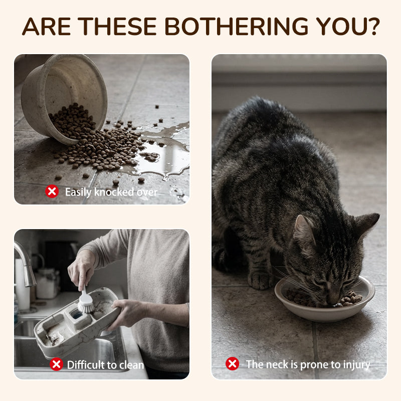 🐾 50% Korting – Verhoogde Voerbak voor Honden & Katten | Comfortabel Eten zonder Knoeien (3 Bakjes)