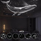 Slaapkamer Projector + Nachtlamp | Creëer een Kalmerende of Romantische Sfeer