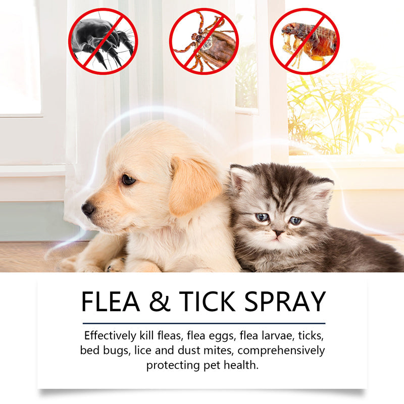 🍃Natuurlijke Vlooi- en Tekspray voor Honden en Katten🐾 Houd uw Geliefde Huisdier Vrij van Ongedierte