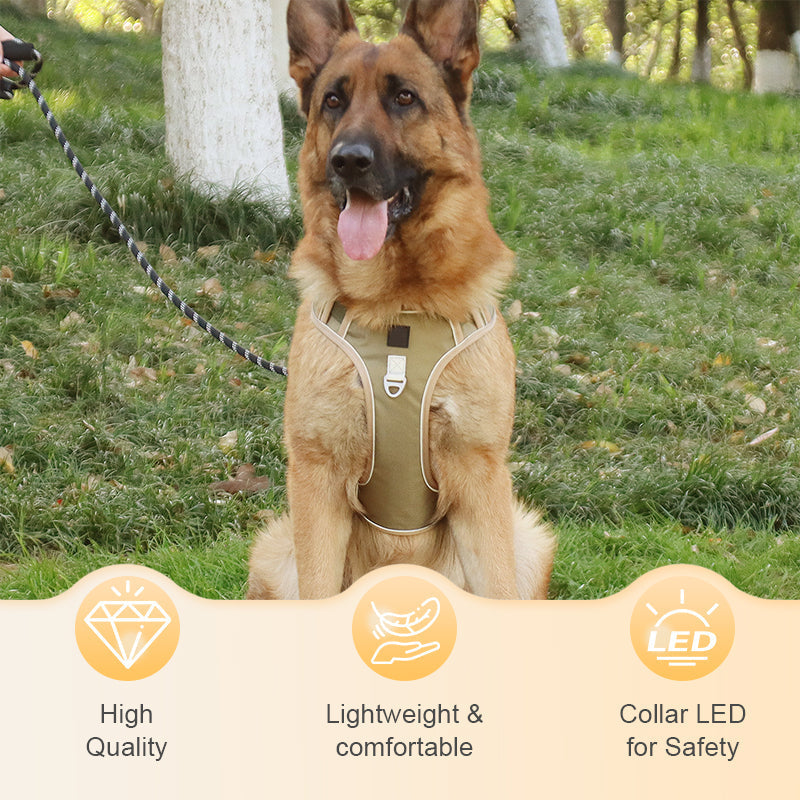 ⏳ 50% KORTING! ⏰ Hondentuig zonder trekkracht met riem en LED-halsband – Veilig en comfortabel ✨