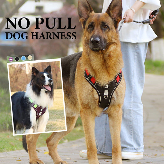 🐕50% KORTING!🔦Anti-trek hondenharnas met LED-lijn en halsband – vermindert druk, zacht nylon en perfect voor nachtelijke wandelingen en training🌙