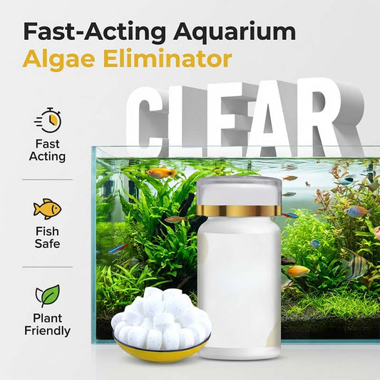 🎁HETE AANBIEDING 2026🎁Aquarium – Verwijdert groen water en mos – effectief en zacht!🌿💧