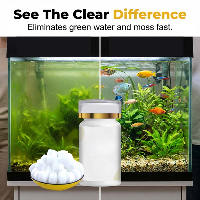🎁HETE AANBIEDING 2026🎁Aquarium – Verwijdert groen water en mos – effectief en zacht!🌿💧