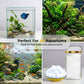 🎁HETE AANBIEDING 2026🎁Aquarium – Verwijdert groen water en mos – effectief en zacht!🌿💧