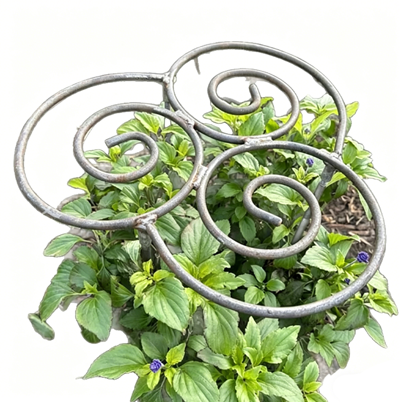 🌸 Stevig Bloemensteunframe | Robuuste Klimsteun voor Rozen en Hoge Planten – Houdt Alles Recht en Netjes 🌿