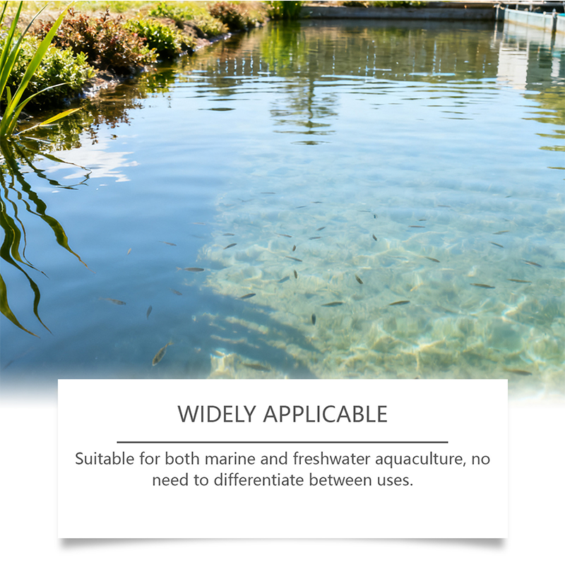 🐟 Kristalhelder Water Zonder Gedoe – Aqua-Guardian Pro Formula 💧