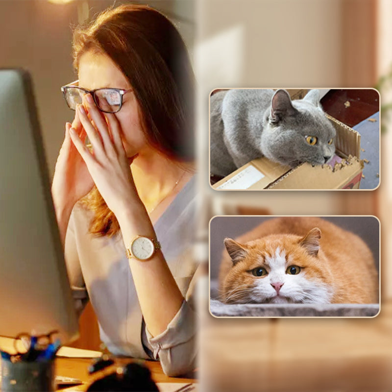 🐈Koop 1 krijg 1 gratis🐈Interactieve kat stuiterbal met veer