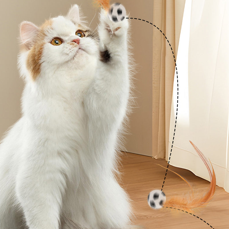 🐈Koop 1 krijg 1 gratis🐈Interactieve kat stuiterbal met veer