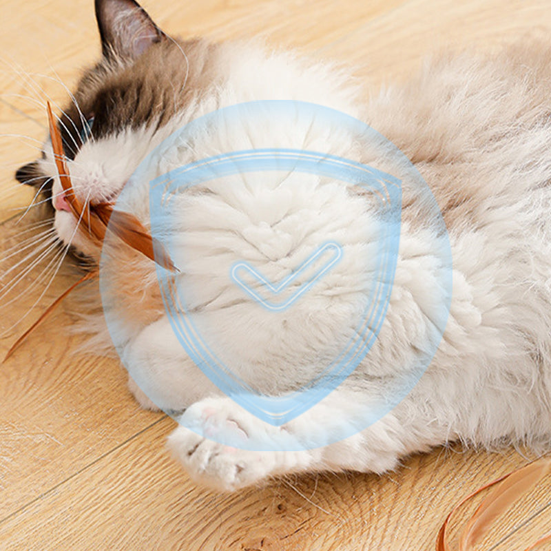 🐈Koop 1 krijg 1 gratis🐈Interactieve kat stuiterbal met veer