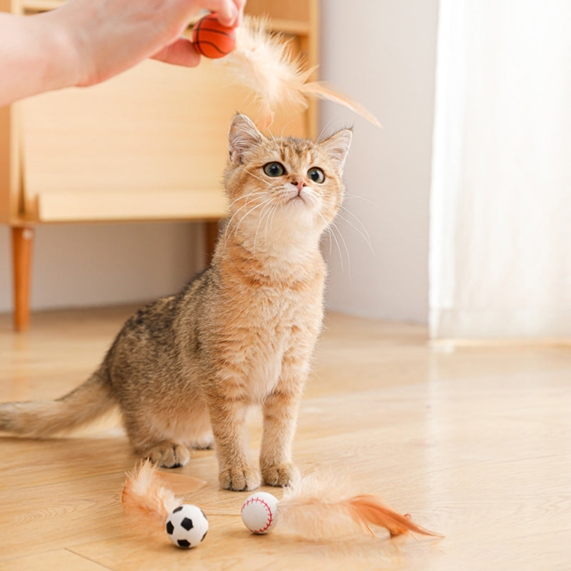 🐈Koop 1 krijg 1 gratis🐈Interactieve kat stuiterbal met veer