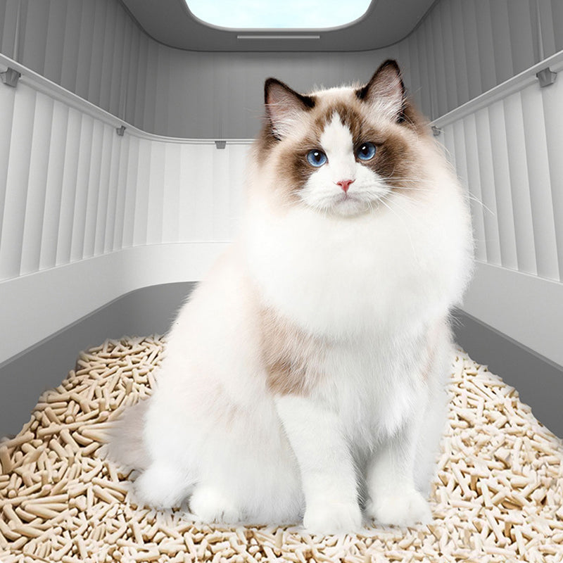 Opvouwbare lade-stijl kattenbak