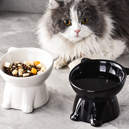 ✨Ergonomische verhoogde kattenbak – 15° helling, antislip