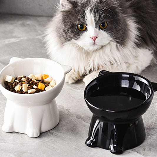 ✨Ergonomische verhoogde kattenbak – 15° helling, antislip