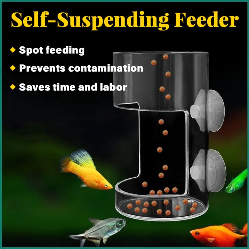 🐠✨Voerring en -bakje voor Aquariums – Netjes en Gericht Voeren