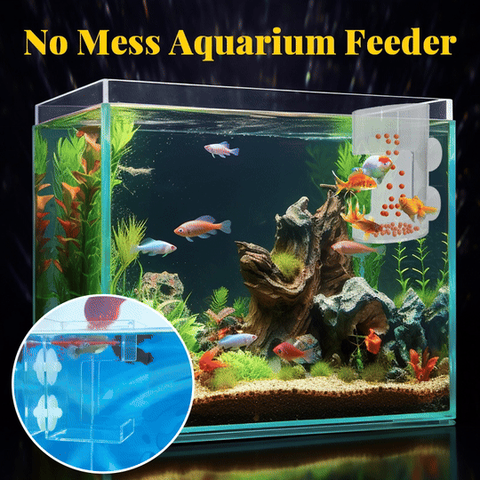 🐠✨Voerring en -bakje voor Aquariums – Netjes en Gericht Voeren