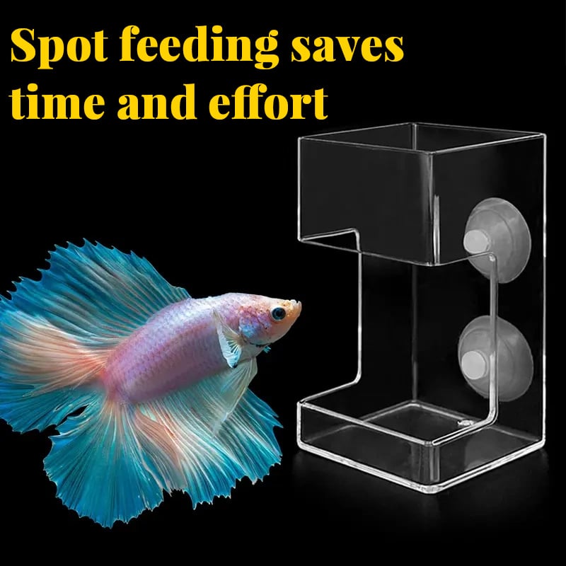 🐠✨Voerring en -bakje voor Aquariums – Netjes en Gericht Voeren