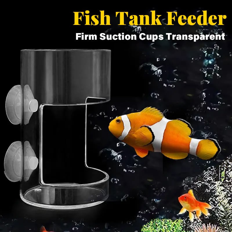 🐠✨Voerring en -bakje voor Aquariums – Netjes en Gericht Voeren