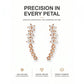 ⚡Kies elke 3 voor €14.99⚡Sterrenbloem strass klimoorbellen