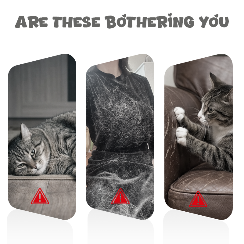Automatisch Intrekbaar Kattenplaagspeeltje